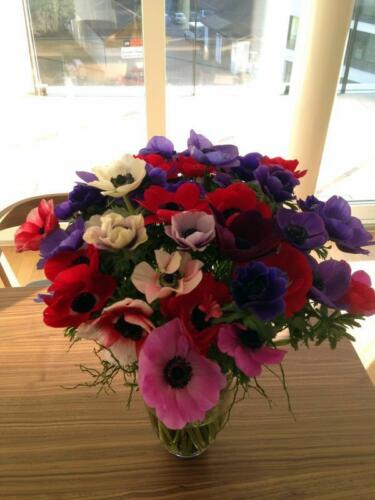 Ramo flores colores
